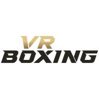 VR Boxing