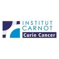 Carnot Curie Cancer
